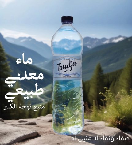 480549463_937822271849533_7241892345879893420_n