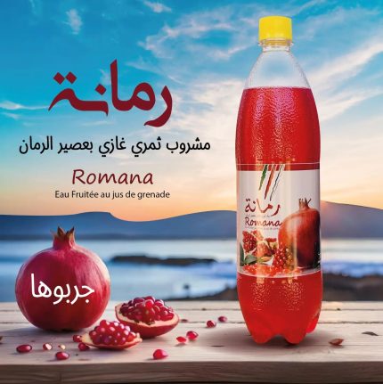 484337414_936965041935256_5498378632155102041_n